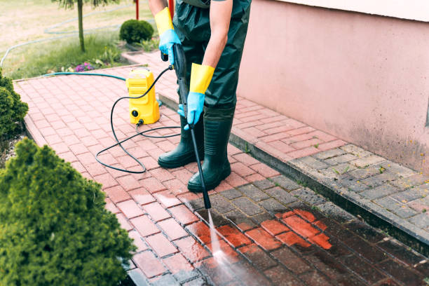 Best Driveway Pressure Washing  in Apple Mountain Lake, VA